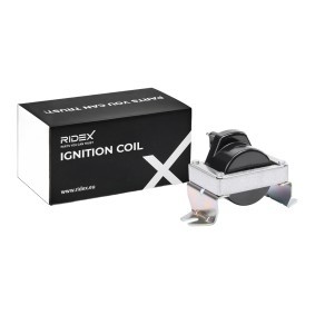 RIDEX 689C0469 Zündspule RENAULT Symbol