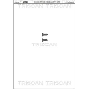 Schraube, Bremsscheibe 8105 116008 VOLVO XC40 von TRISCAN