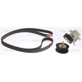 Compre Jogo de correias trapezoidais estriadas da TRISCAN 8642 10027 a um preço baixo por 243,01&nbsp;&euro;