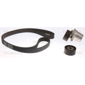Compre Jogo de correias trapezoidais estriadas da TRISCAN 8642 24008 a um preço baixo por 228,28&nbsp;&euro;