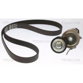Compre Jogo de correias trapezoidais estriadas da TRISCAN 8642 28028 a um preço baixo por 119,05&nbsp;&euro;