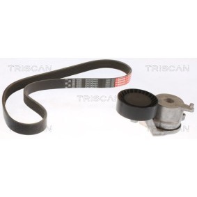 Compre Jogo de correias trapezoidais estriadas da TRISCAN 8642 28031 a um preço baixo por 221,79&nbsp;&euro;
