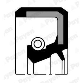 PAYEN NJ118 Akseltetningsring, girmekanisme TOYOTA CARINA