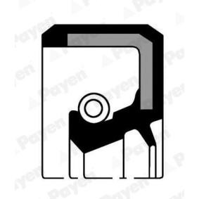 PAYEN NJ527 Akseltetningsring, hjulnav BMW