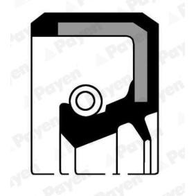 PAYEN NJ611 Akseltetningsring, girmekanisme MITSUBISHI PAJERO PININ