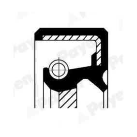 PAYEN NJ617 Akseltetningsring, girmekanisme TOYOTA LAND CRUISER