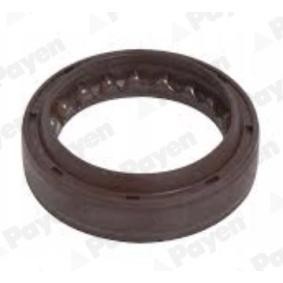 PAYEN NJ962 Akseltetningsring, girmekanisme SUZUKI