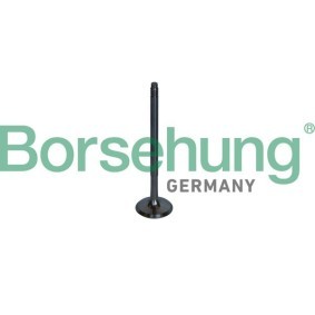 Comprar Válvula de escape de Borsehung B10326 a bajo precio de 23,43&nbsp;&euro;
