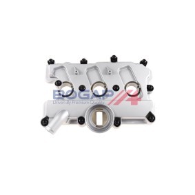 BOGAP B4240116 Depósito de água MINI Hatchback (R56) 1.6 75 cv Otto