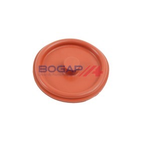 BOGAP E1116100 Sistema de respiro do motor OPEL MOKKA