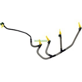 INTFRADIS 102060 Kraftstoffverteiler CITROËN C5 Aircross 2.0 177 PS Diesel