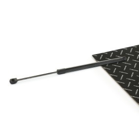 Osta Kaasujousi, tavaratila RIDEX:llä 219G1146 edullisesti hintaan 14,12&nbsp;&euro;