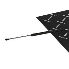 RIDEX 219G1157 Bagklapsdæmper RENAULT MODUS