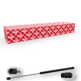 Osta Kaasujousi, tavaratila FEBI BILSTEIN:llä 14657 edullisesti hintaan 27,08&nbsp;&euro;