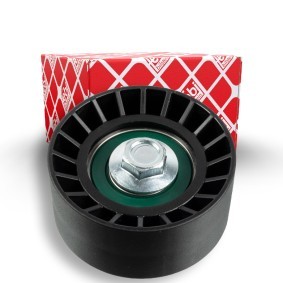 FEBI BILSTEIN 15594 Poulie renvoi / transmission, courroie trapézoïdale à nervures CHEVROLET Aveo / Kalos 3/5 portes (T250, T255) 1.6 105 CV Essence