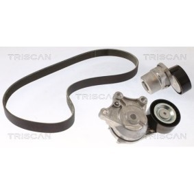 Compre Jogo de correias trapezoidais estriadas da TRISCAN 8642 10039 a um preço baixo por 175,34&nbsp;&euro;
