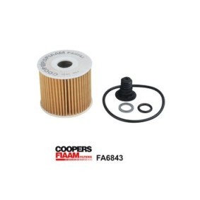 Achetez des Filtre à huile COOPERSFIAAM FILTERS FA6843 à prix pour 16,59&nbsp;&euro;