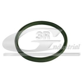 3RG 85793 Retentor, tubo do ar de sobrealimentação BMW