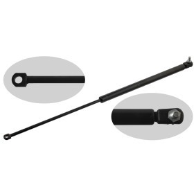 Osta Kaasujousi, tavaratila FEBI BILSTEIN:llä 24699 edullisesti hintaan 29,55&nbsp;&euro;