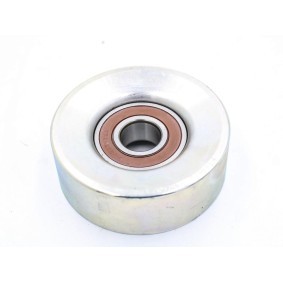 FAST FT44672 Polea inversión / guía, correa poli v CITROËN C3 Picasso (SH)