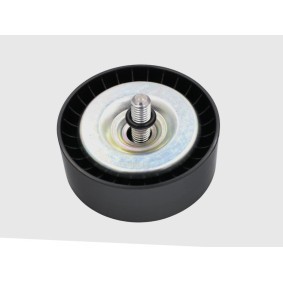 FAST FT44684 Polia de desvio / de guia, correia trapezoidal estriada FORD TRANSIT COURIER