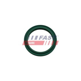 FAST FT48933 Retentor, tubo do ar de sobrealimentação NISSAN NV400