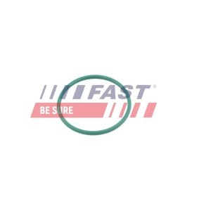 FAST FT49921 Dichtring, Ladeluftschlauch FORD FIESTA