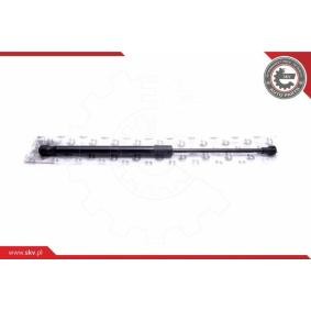 ESEN SKV 52SKV587 Coffre à bagages BMW 1 5 portes (E87)