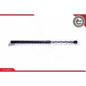 ESEN SKV 52SKV606 Pistoncini portellone CITROËN DS4