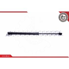 ESEN SKV 52SKV684 Coffre à bagages OPEL Signum CC (Z03)