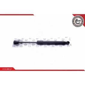 ESEN SKV 52SKV691 Kofferraum PEUGEOT 406 Coupe (8C)