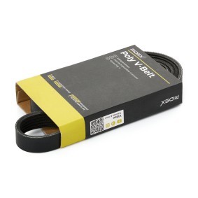 RIDEX 305P0645 Correia do alternador CHEVROLET CAPTIVA