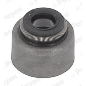 PAYEN HR5150 Joint de queue de soupape LEXUS LS (UCF10)