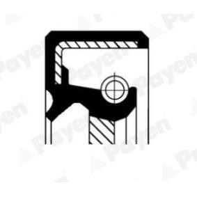 Kjøp Akseltetningsring, girmekanisme av PAYEN NJ484 til den lave prisen 37,82&nbsp;kr