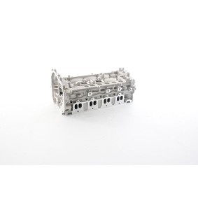 BSG BSG 75-110-009 Zylinderkopf RENAULT KOLEOS (HY_)