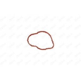 IBRAS 11034 Junta, tubagem do líquido de refrigeração MERCEDES-BENZ