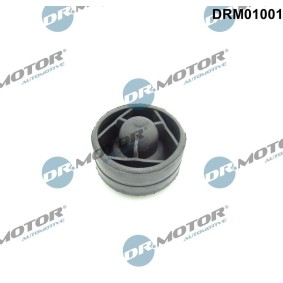 DR.MOTOR AUTOMOTIVE DRM01001 Cubre cárter SKODA FABIA