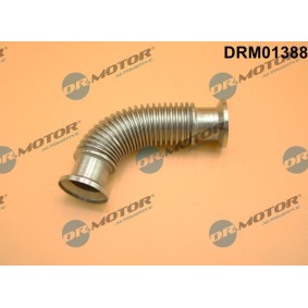 DR.MOTOR AUTOMOTIVE DRM01388 AGR Ventil RENAULT Symbol