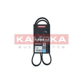 KAMOKA 7015031 Correia do alternador OPEL GT