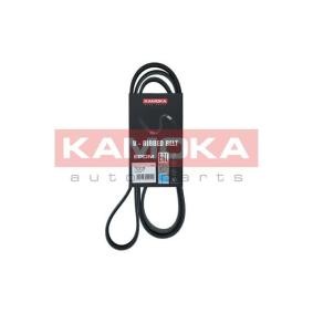 KAMOKA 7016149 Correia do alternador CHEVROLET EVANDA