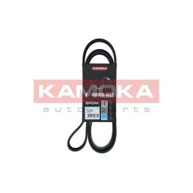KAMOKA 7017024 Correia do alternador HYUNDAI H350