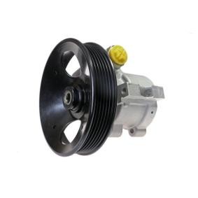 Achetez des Pompe de direction assistée LAUBER 55.9902 à prix pour 142,40&nbsp;&euro;