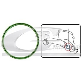 3RG 36701 Ansaugkrümmerdichtung SEAT Ibiza 4 Sportcoupe (6J1, 6P5) 1.4 75 PS Diesel