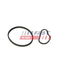 FAST FT48943 Unterdruckpumpe CITROËN BERLINGO (B9)