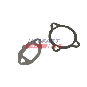 FAST FT50606 Junta de válvula egr BMW