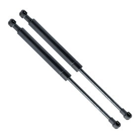 EINPARTS EP10155GS Coffre à bagages OPEL Vectra B Berline (J96)