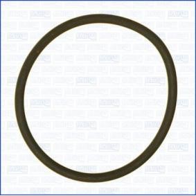 AJUSA 16097100 Kraftstoffpumpe BMW X1