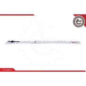 ESEN SKV 96SKV216 Vareta do óleo BMW