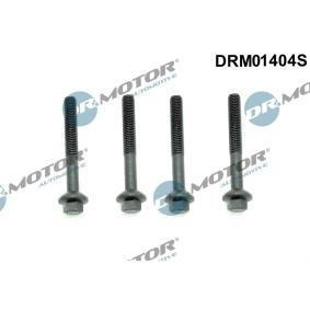 Schraube, Einspritzdüsenhalter DRM01404S für RENAULT