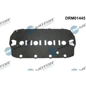 DR.MOTOR AUTOMOTIVE DRM01445 Junta de tapa de valvulas ROVER 45